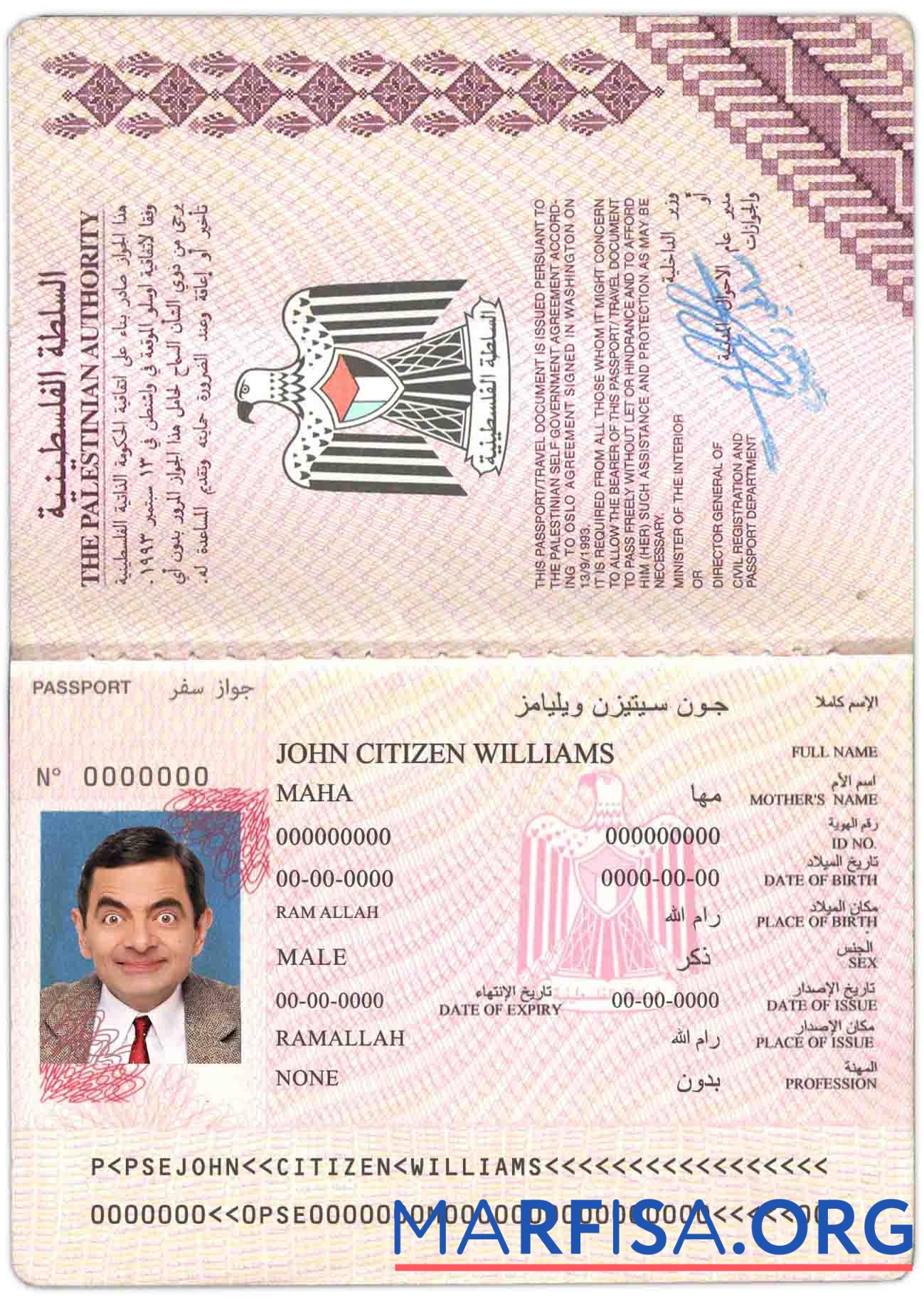 Blank Palestine passport sample